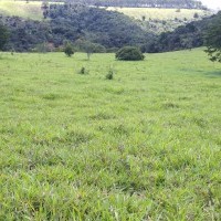 Ver anúncio COD ref#1874