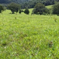 Ver anúncio COD ref#1874