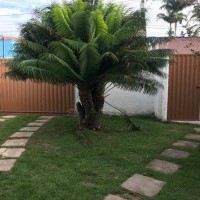 Ver anúncio COD ref#1883