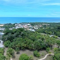 Ver anúncio COD ref#1884