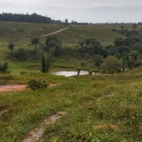 Ver anúncio COD ref#1925