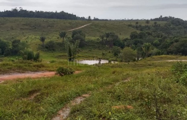 Foto ﾹ1 Fazenda/Sítio Venda em Bahia, Santa Luzia, Santa Luzia
