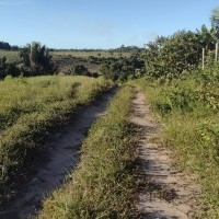 Ver anúncio COD ref#1925