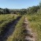 Foto ﾹ5 Fazenda/Sítio Venda em Bahia, Santa Luzia, Santa Luzia