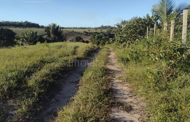 Foto ﾹ5 Fazenda/Sítio Venda em Bahia, Santa Luzia, Santa Luzia