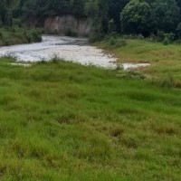 Ver anúncio COD ref#1925