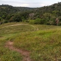 Ver anúncio COD ref#1925