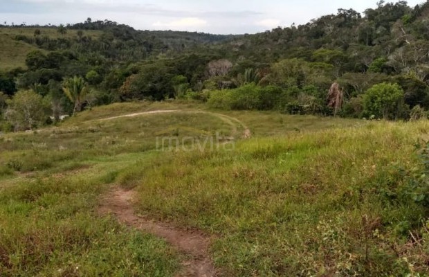 Foto ﾹ6 Fazenda/Sítio Venda em Bahia, Santa Luzia, Santa Luzia