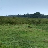 Ver anúncio COD ref#1925