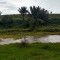 Foto ﾹ3 Fazenda/Sítio Venda em Bahia, Santa Luzia, Santa Luzia