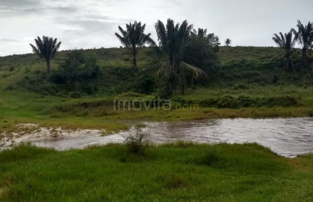 Foto ﾹ3 Fazenda/Sítio Venda em Bahia, Santa Luzia, Santa Luzia