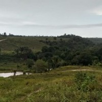 Ver anúncio COD ref#1925