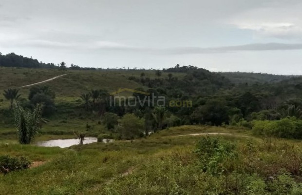 Foto ﾹ12 Fazenda/Sítio Venda em Bahia, Santa Luzia, Santa Luzia