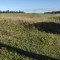 Foto ﾹ13 Fazenda/Sítio Venda em Bahia, Santa Luzia, Santa Luzia