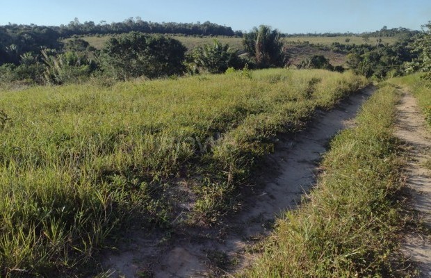 Foto ﾹ15 Fazenda/Sítio Venda em Bahia, Santa Luzia, Santa Luzia