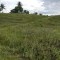 Foto ﾹ16 Fazenda/Sítio Venda em Bahia, Santa Luzia, Santa Luzia