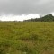 Foto ﾹ17 Fazenda/Sítio Venda em Bahia, Santa Luzia, Santa Luzia
