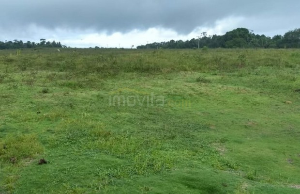 Foto ﾹ18 Fazenda/Sítio Venda em Bahia, Santa Luzia, Santa Luzia
