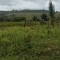 Foto ﾹ19 Fazenda/Sítio Venda em Bahia, Santa Luzia, Santa Luzia