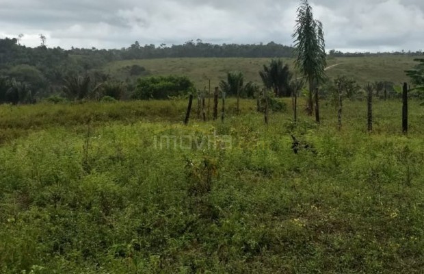 Foto ﾹ19 Fazenda/Sítio Venda em Bahia, Santa Luzia, Santa Luzia