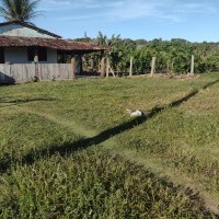 Ver anúncio COD ref#1925