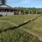 Foto ﾹ2 Fazenda/Sítio Venda em Bahia, Santa Luzia, Santa Luzia