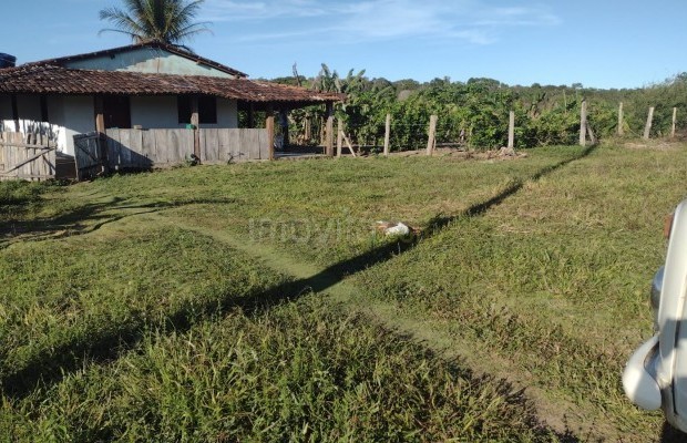 Foto ﾹ2 Fazenda/Sítio Venda em Bahia, Santa Luzia, Santa Luzia