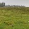 Foto ﾹ21 Fazenda/Sítio Venda em Bahia, Santa Luzia, Santa Luzia