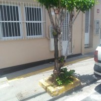 Ver anúncio COD ref#1961