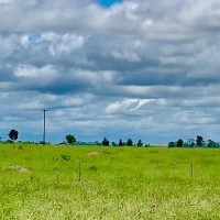 Ver anúncio COD ref#1965