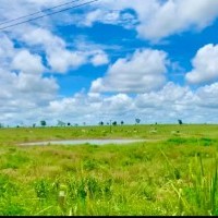 Ver anúncio COD ref#1965