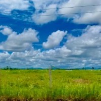 Ver anúncio COD ref#1965