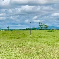 Ver anúncio COD ref#1965