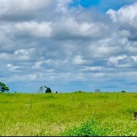 Ver anúncio COD ref#1965