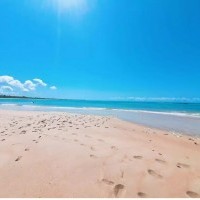 Ver anúncio COD ref#1970