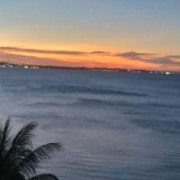 Ver anúncio COD ref#1973