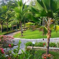 Ver anúncio COD ref#2008