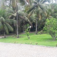 Ver anúncio COD ref#2008