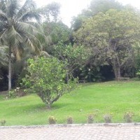 Ver anúncio COD ref#2008