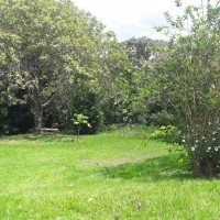 Ver anúncio COD ref#2008