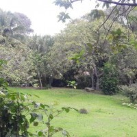 Ver anúncio COD ref#2008