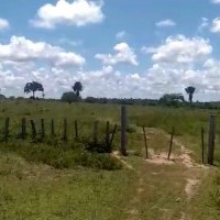 Ver anúncio COD ref#2044