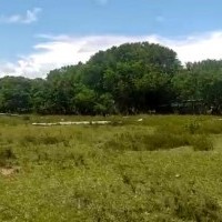 Ver anúncio COD ref#2044