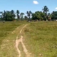 Ver anúncio COD ref#2044