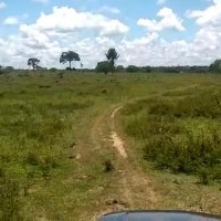 Ver anúncio COD ref#2044