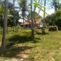 Ver anúncio COD ref#2044