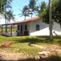 Ver anúncio COD ref#2044