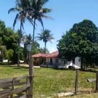 Ver anúncio COD ref#2044