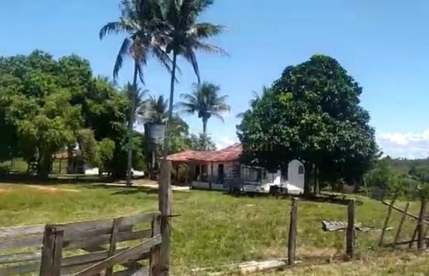 Foto ﾹ3 Fazenda/Sítio Venda em Bahia, Belmonte, Guaiú
