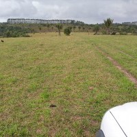 Ver anúncio COD ref#2060